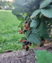 11d36f5d-67a6-4e13-8922-8364466e3ff0