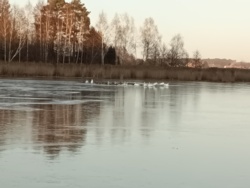 d625e439-e4c1-4b02-9c24-8d7a2ba9d3bb