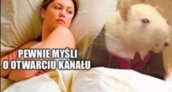 2afae4ba-512b-4f64-b874-dbb7847f2726