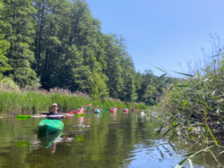 0de0c724-d6f7-4e63-90bf-1abb4b758524