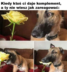 02c7e7b5-04bc-473b-a707-ace102a32b94