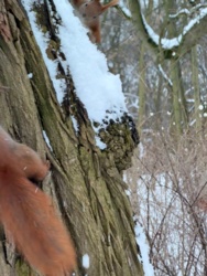 d711cace-a9d5-4209-8de4-91221cad9bf2