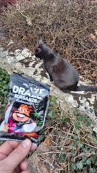 76404cc7-4bf2-4d9b-9b9a-a8062e4fab5d