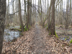 aa2b602c-623e-461c-9076-2bd31b1cd5c3