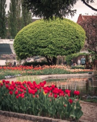 e34c7409-1756-45d7-ba6c-f4aa3d2550a9