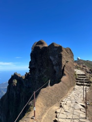 ddf9841f-a08f-4d6f-967a-228a14e862a3