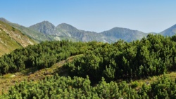 a03d6ee9-fa94-4d0b-afdc-652d744d0408