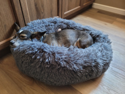 ab5bf5c1-f902-4eef-85b8-cdb6ee6fe6ba