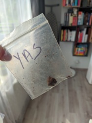 cd6de2ef-1483-493b-a23d-cb782221edf7