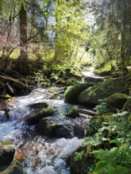 e55ec150-4fe3-4880-aefa-7b6f46f1e66e