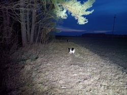 117f4e5e-2d4b-437b-9996-929db28ae5ce