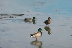 4d1522a8-fc27-423f-8d52-8d84adba1fff