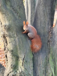 b2c8e79f-445b-416e-bbb0-ffff708d67ed