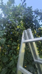 935f8b62-7576-45c4-8865-f5afa27535c4