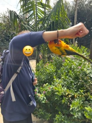 b75b41b6-f0c6-4325-a720-5c1c544b2c26