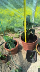 2f198def-b72d-4e4e-83ea-92a841258e75