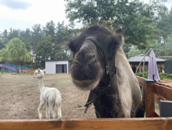 fb6a2b63-c670-4073-be3e-7ad92d7d23f8