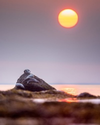 1edb80f6-9b3e-4242-9682-0dd75e8d8ea8