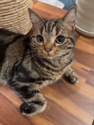 2ea81e0f-3ca9-4b1a-8cdf-c66e10aabccf