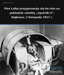 56603026-d04d-48b4-9410-e54997644b0f