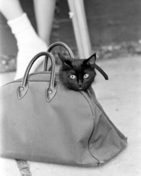 d8d10405-1a8f-4f6d-8d35-ccba682b8385