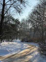 a12f45d3-ed5a-4e73-8c06-0de8b476ba9c