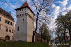 cab6b318-823d-4d17-997d-58ccef0c6e60