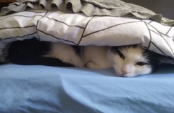 46d53301-5472-48a4-8cea-b82f52873712