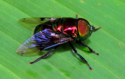 6a4641e6-ad02-4497-9f19-abf4691ce9f7