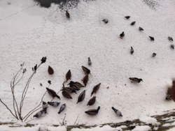 34e1954d-55b7-479a-850b-9b8a1d35054b