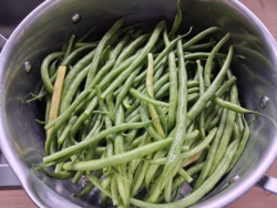 50404627-9a18-4347-b4ad-687cb027b2ae