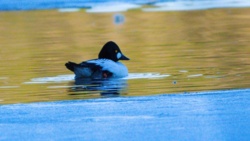 fa38bc7a-e74f-4bff-ac90-13d94add235a