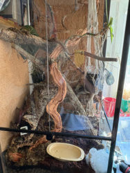 9d654827-2a7c-454d-9571-f62bb9236cf7