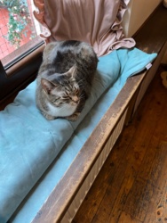 979e9614-ca92-4adc-a34e-5a15f8b7a475