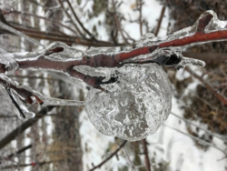 d9235cac-5324-4664-8d7e-e587fe38ad0f