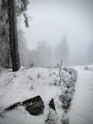 e1905d33-16ac-4755-8bfd-65b59961a7b1