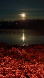 5d269eff-7b90-4c0c-ad43-adf3c337d3c3