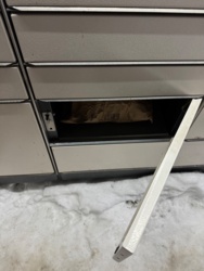 064acc3e-a55e-4a1d-b9f8-ba7b3addbc18