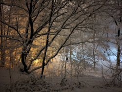 ca510bbd-2aba-4082-ac9d-64725229b246