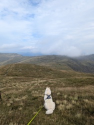 1d3459b9-0554-416a-a9bd-28169ac5b4b0