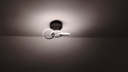 cdfbaed3-aac8-4297-9d72-76296a8d5b70