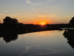 51435104-9b53-4ce1-849b-fac5dd4cc9cc