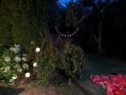 d1c32a85-9a65-4766-b879-e7548254cd96