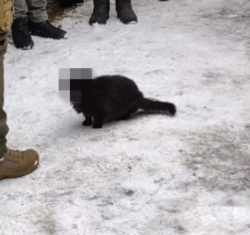 d9da0374-9621-4379-8597-1494cd3fe554