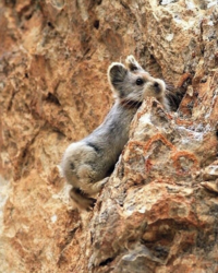 d1b3d580-fa15-4ba8-9365-056fed0b9409