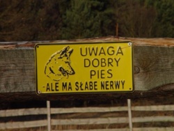 b7b351b4-4857-44a1-ba05-5a61b47eccff