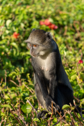 c53e097d-f6af-4102-ac4a-4b7a8b2fb60c