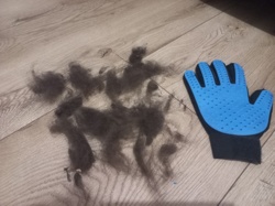 74c78cc0-9cc6-49ef-8eaa-b042923df99f