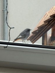 6bdbb07b-e4ef-45ed-b13c-1fdd465180d4