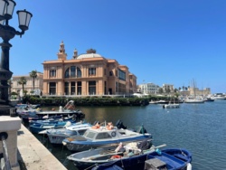 76e833e6-a358-4fe2-8910-17778f8d5e7b